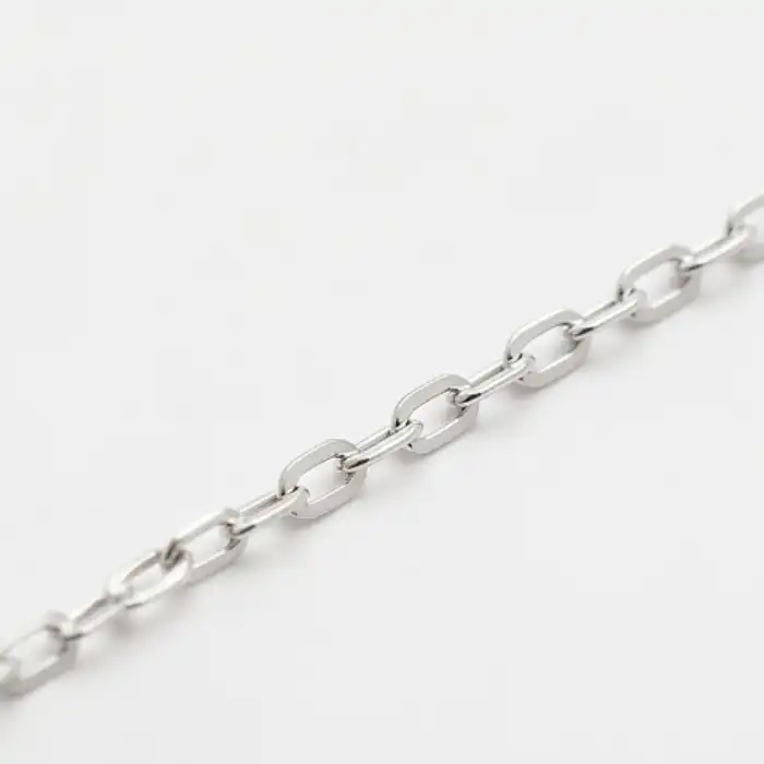 Gyary Classic Oval Link Silver Chain for Women