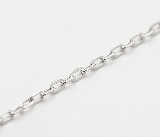 Gyary Classic Oval Link Silver Chain for Women